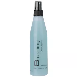 Salerm Cosmetics Лосьон для укладки Brushing