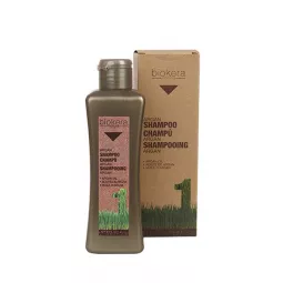 Salerm Cosmetics Champu argan Шампунь с аргановым маслом