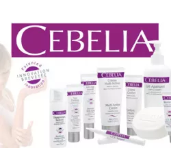 Cebelia